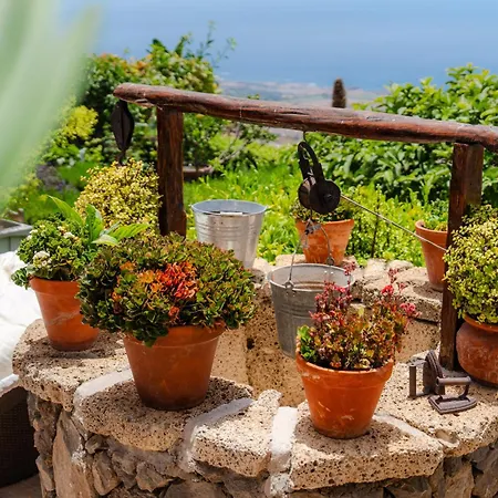Gospodarstwo wiejskie Tajona & Granero Costa Adeje (Tenerife)